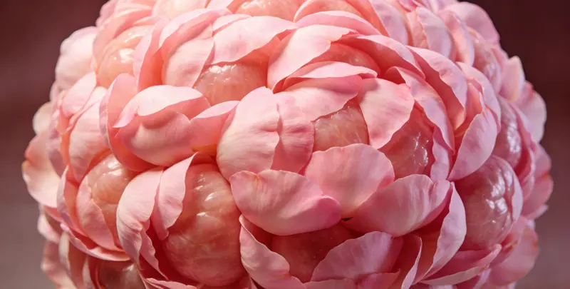 濮阳乳腺/卵巢癌靶向120基因检测（组织）检测图1